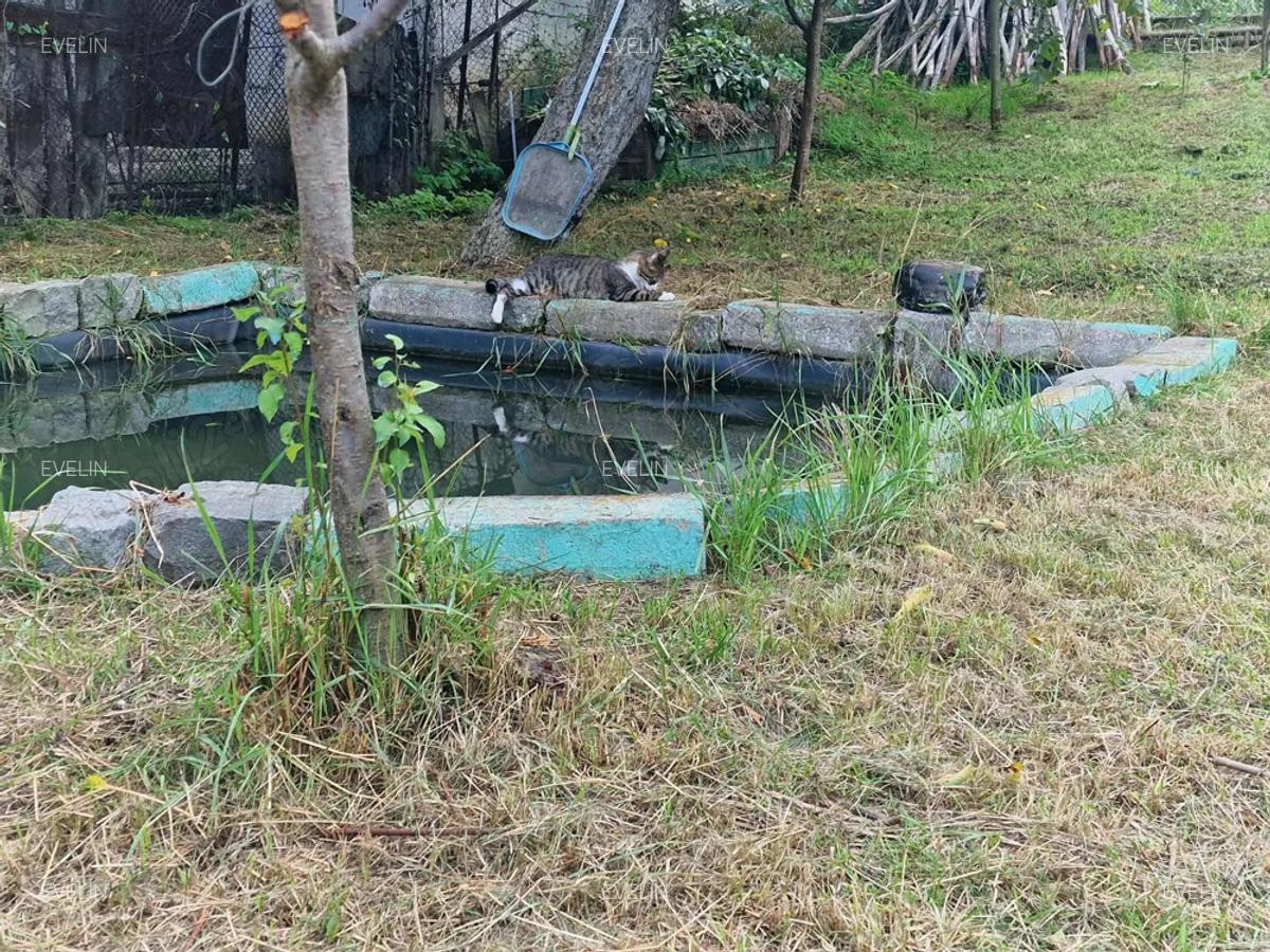 Casa de Vanzare | Zona A Ocna Mure? - 7