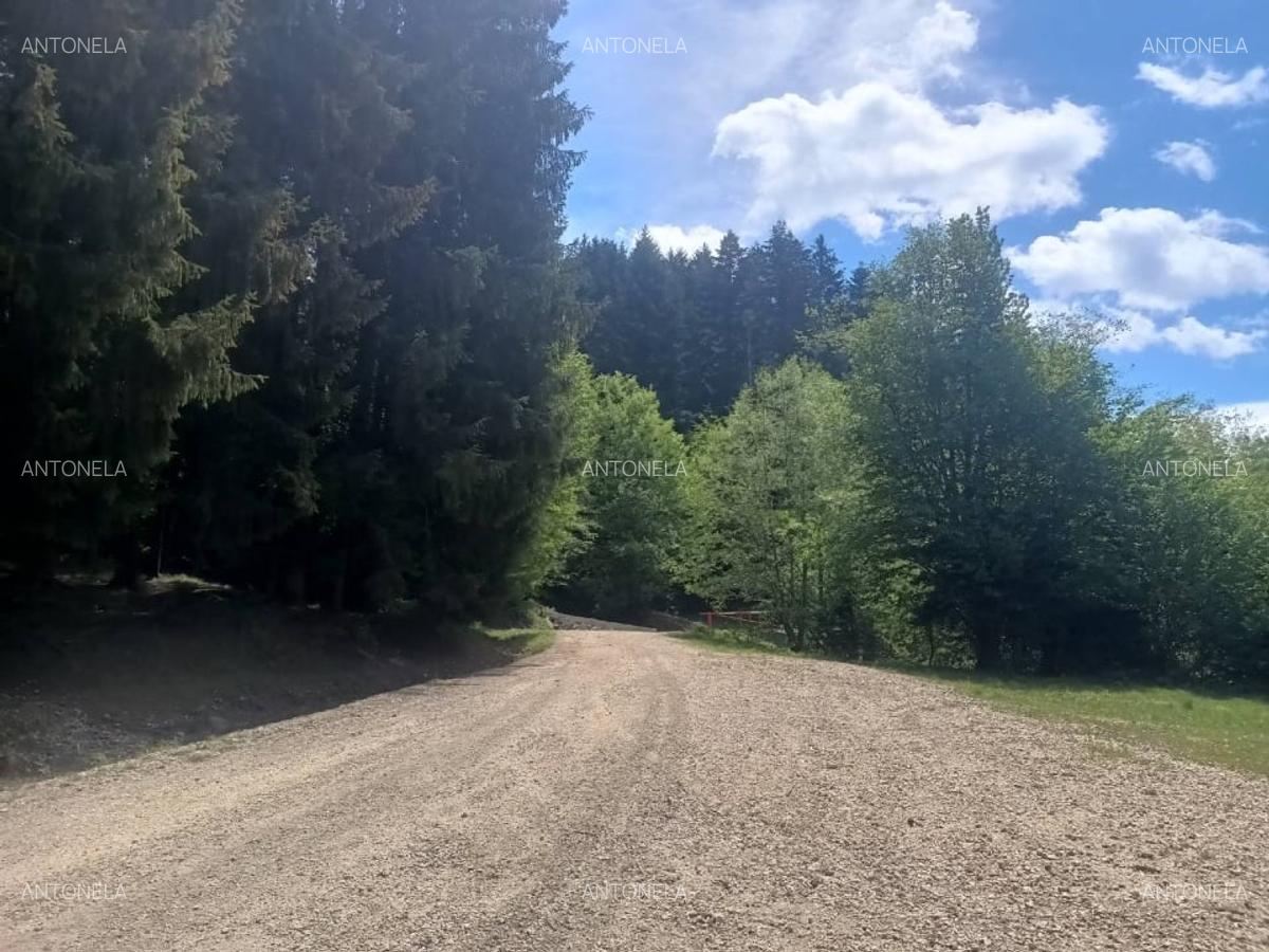 Vnd teren la munte, zona foarte frumoasă - 8