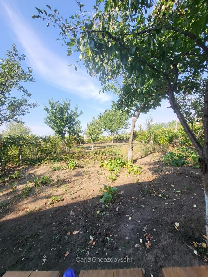 Casă de vânzare în Țigănași – construcție nouă, zonă liniștită - 10