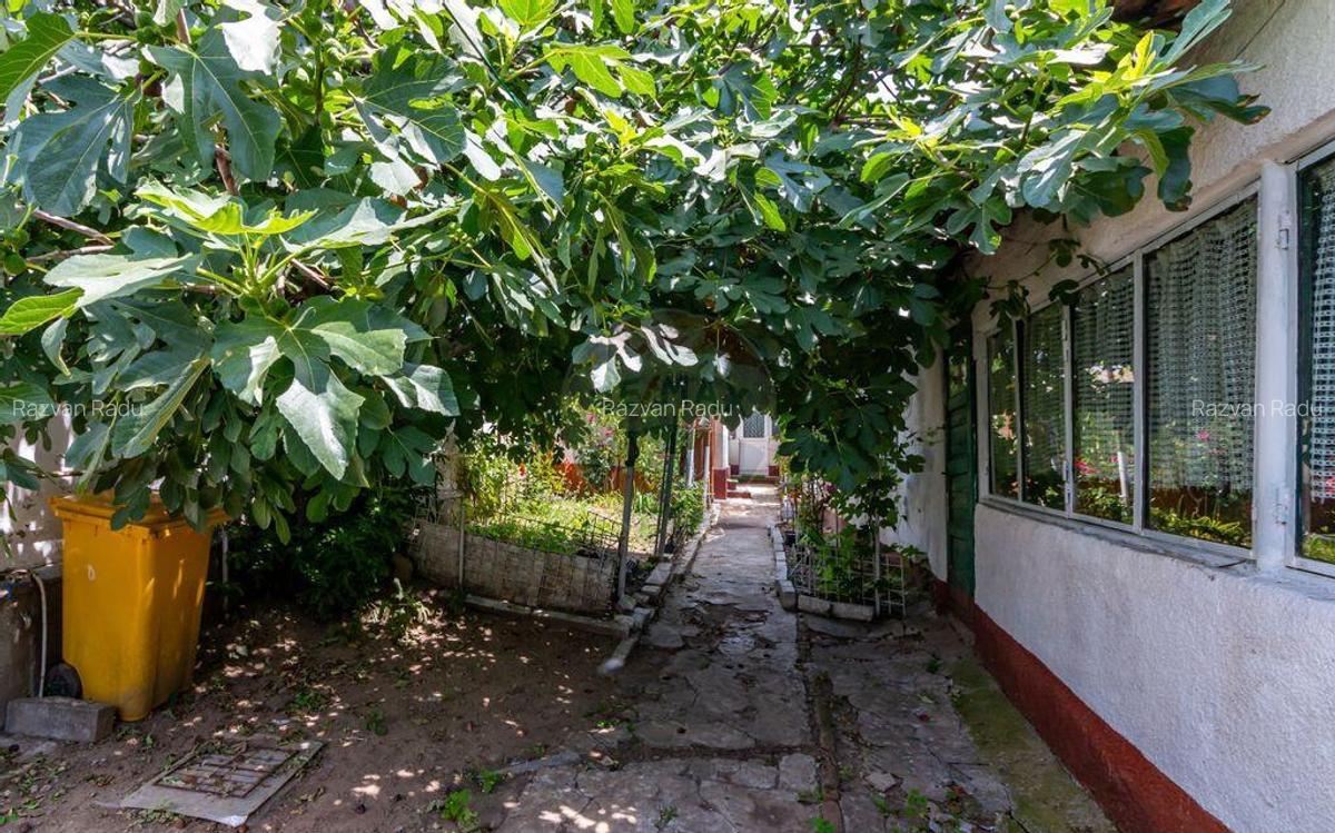 Teren de vanzare strada Frunzei | Piata Muncii - 5 Teren de vanzare strada Frunzei | Piata Muncii - 5