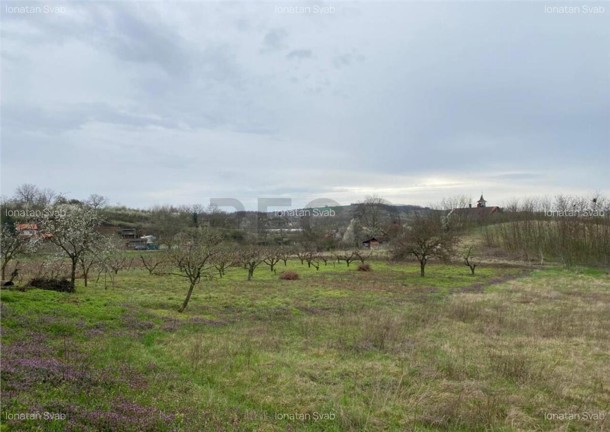 RECO Casa in Diosig 2cam 30km de Oradea - 7