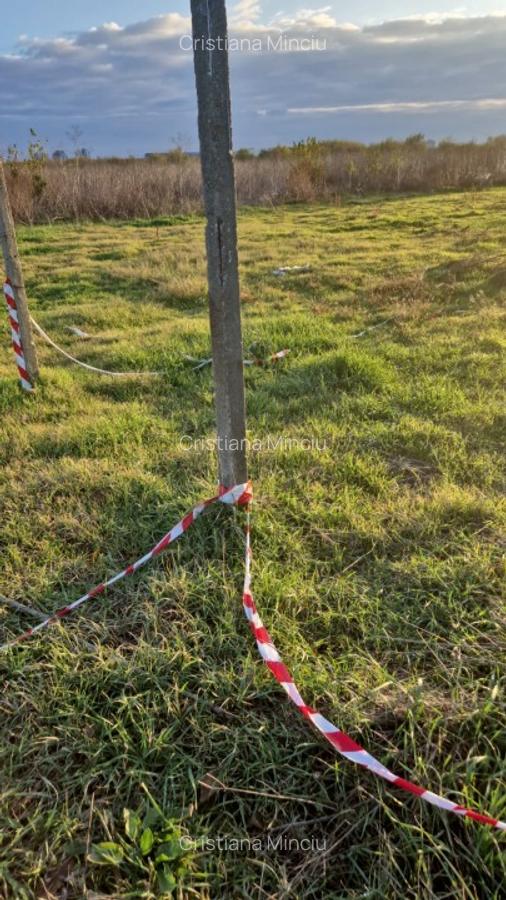 Teren Varful Plesita-Piscul Pietrei, Cartierul Padurea Baneasa - 7