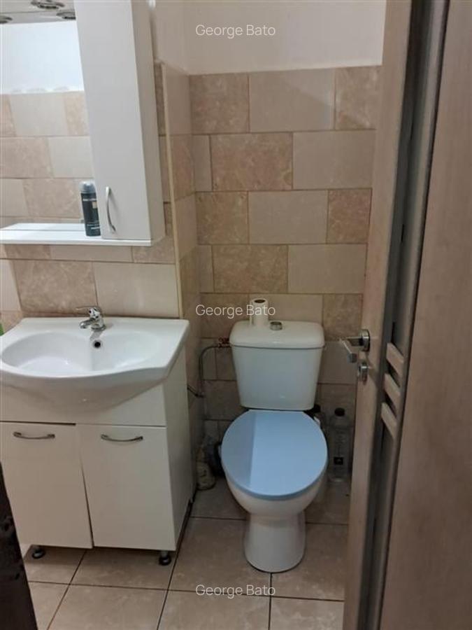 Apartament cu 3 camere decomandat în Nufărul - 6