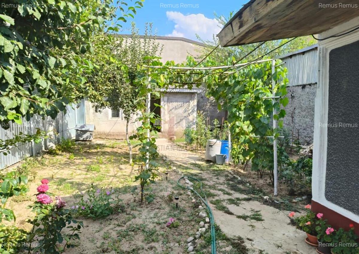 Casa 4 camere, Radu Negru, Teren - 264 mp - 8