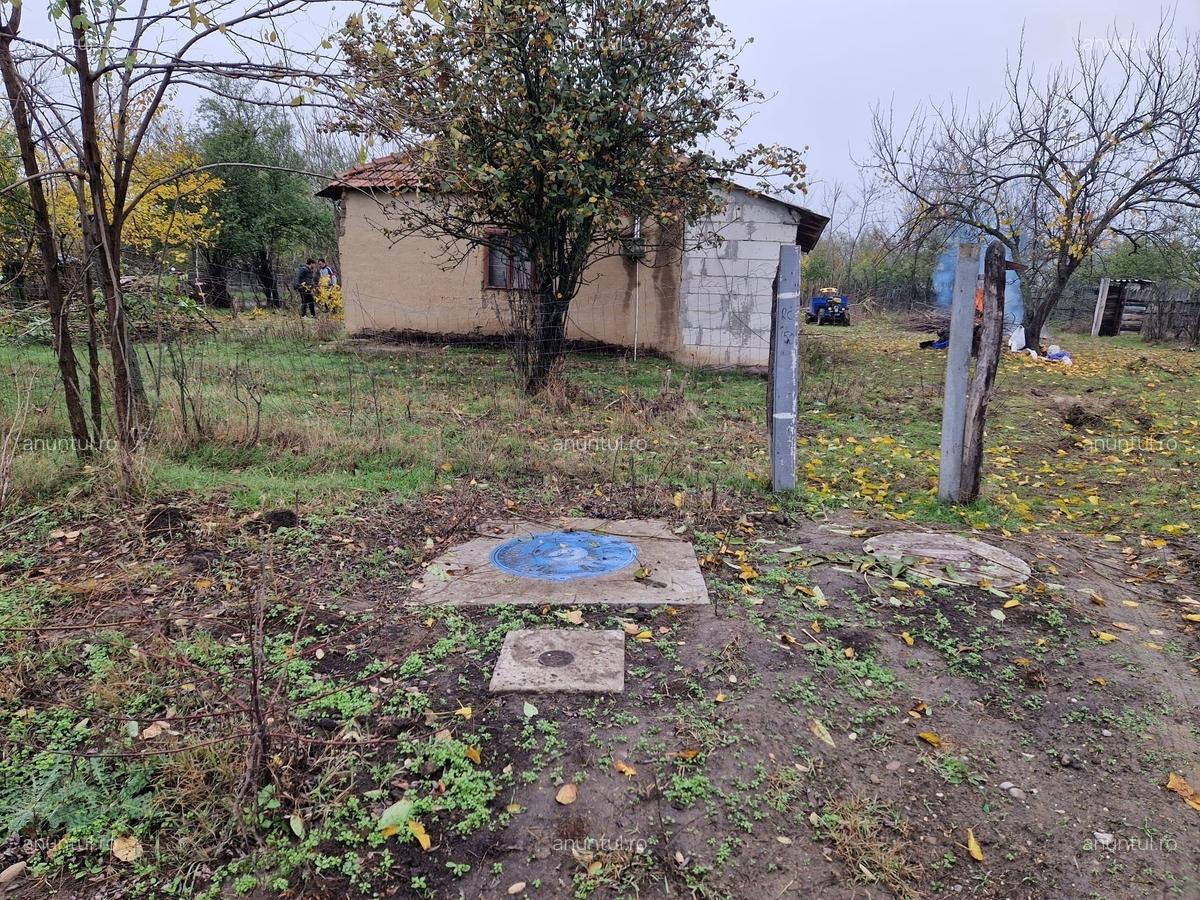 Dor Marunt, Calarasi - 6