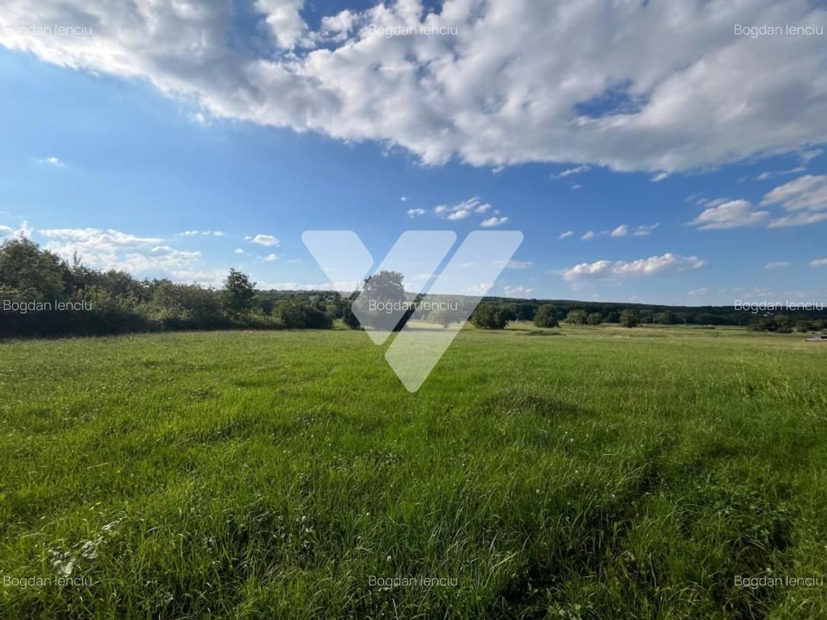 Teren intravilan - 9 loturi - Rasinari, Sibiu - 4