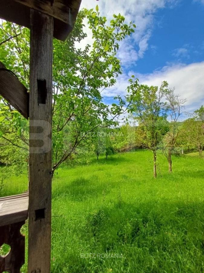 Casa 3 camere si teren 4873 mp  in Pietroasa, Moldovenești - 20