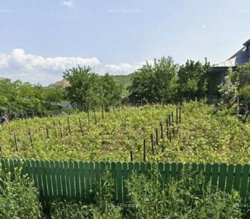 Casa si teren cota parte 3/16, Vladiceni, ID: R2764937 - 17