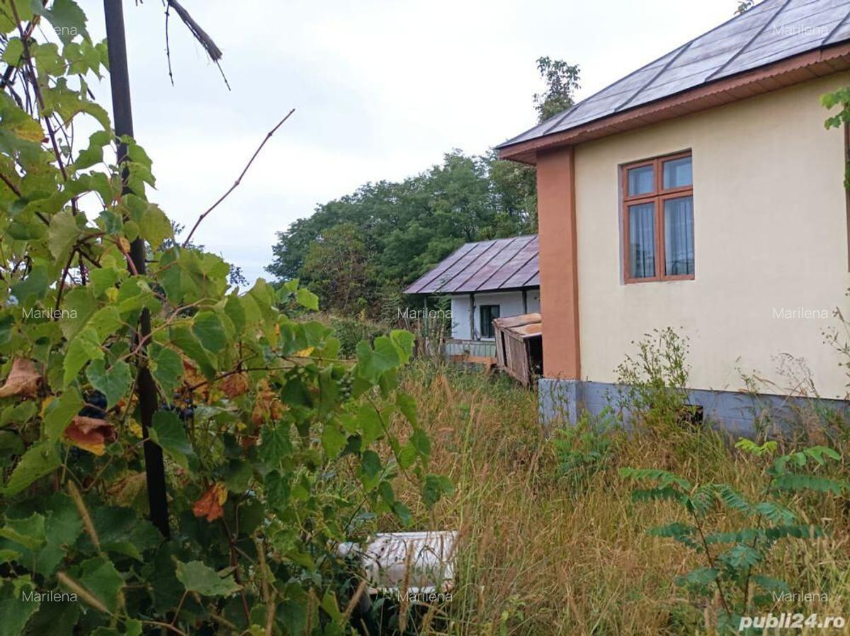 Casa si teren in jude?ul Valcea comuna Lade?ti sat Chirice?ti - 5