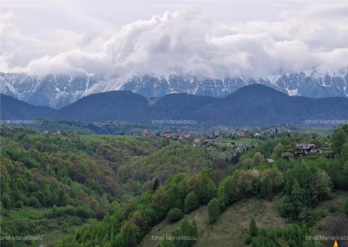 7.000 mp, pozitie spectaculoasa, fara vecini, Fundatica, Bra - 15