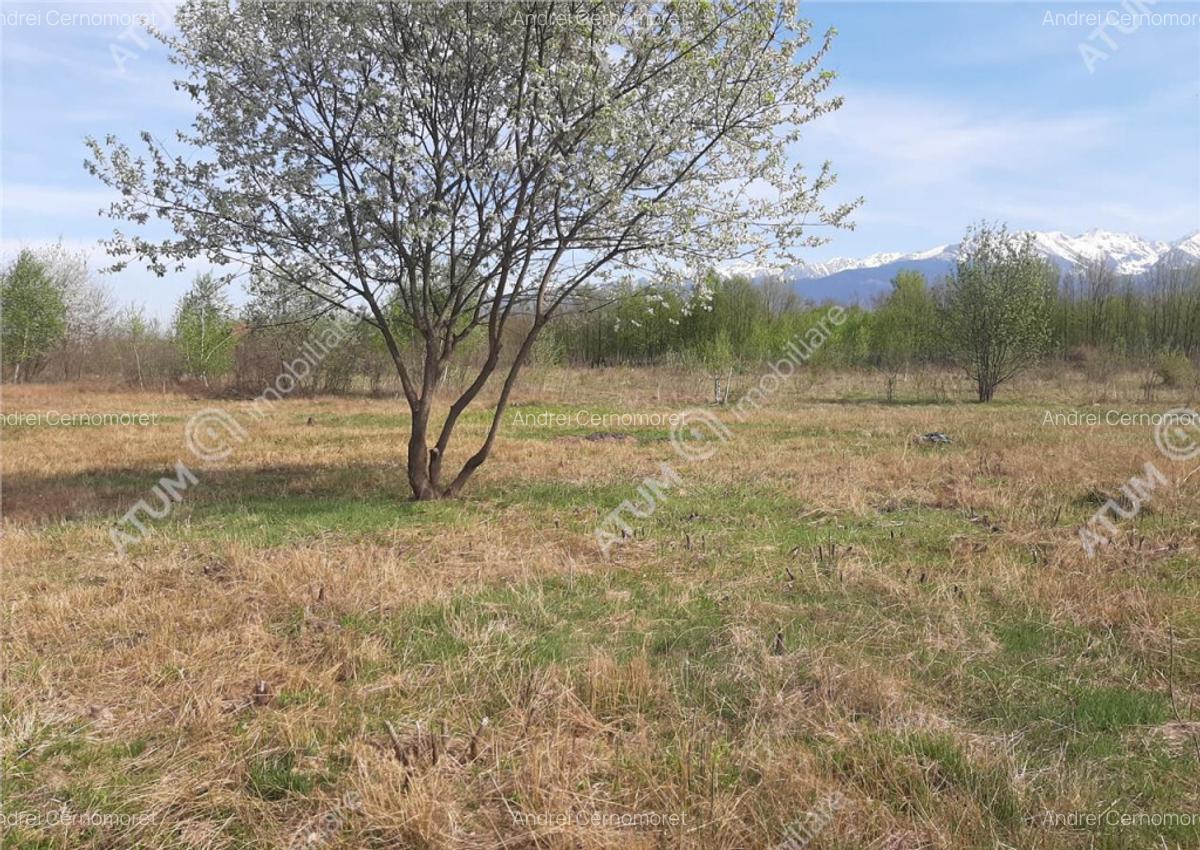 Teren intravilan 2700 mp pe Valea Avrigului localitate Avrig - 12