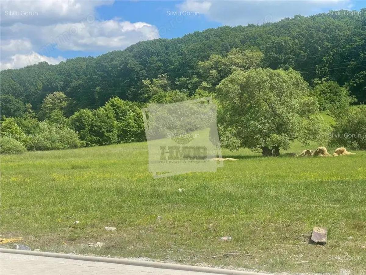 Casa 4 camere 2 bai balcon si gradina in Rasinari - 2