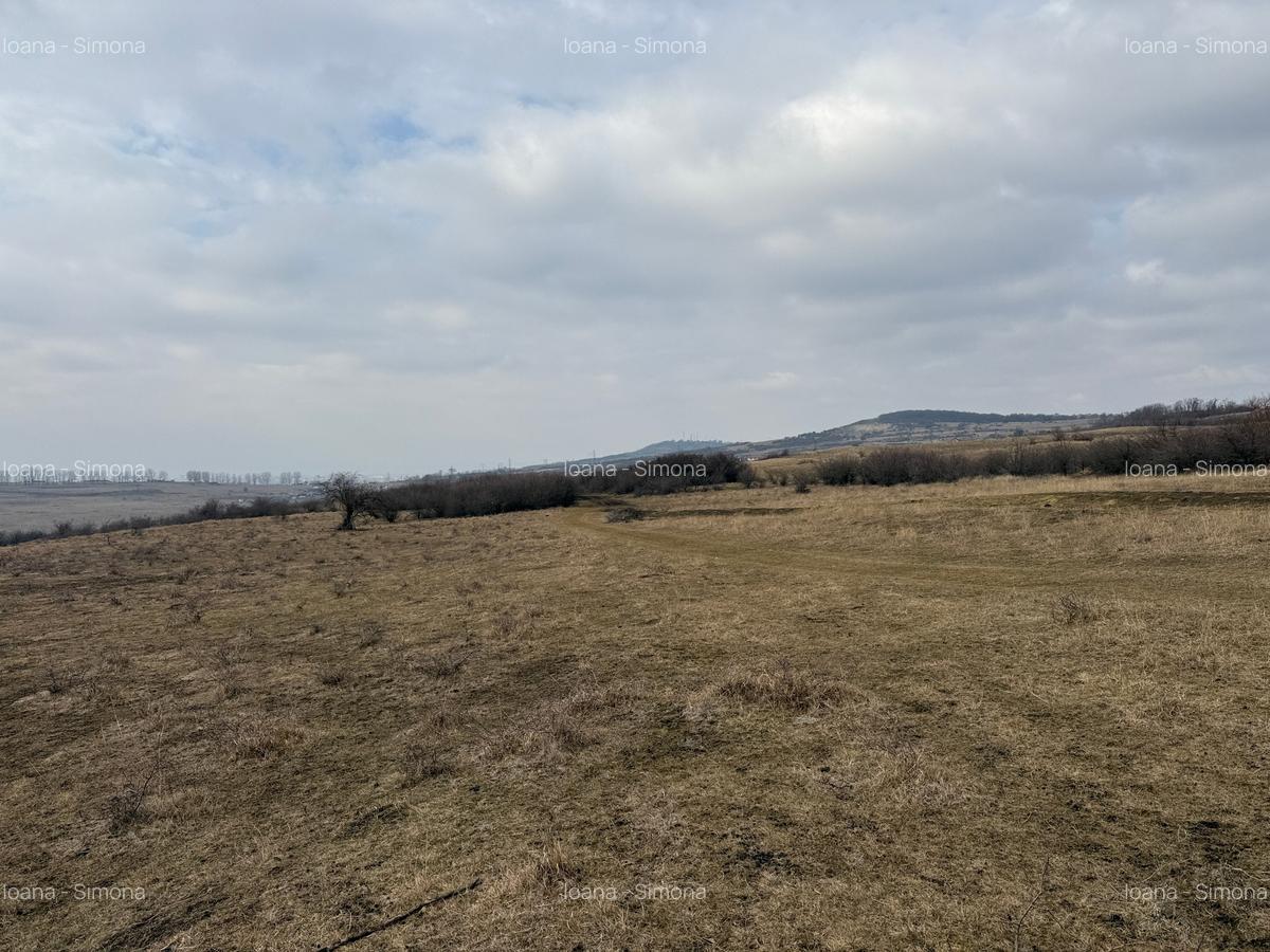 Teren agricol extravilan de vânzare – 67.500 mp – Dealul Daii, Sibiu - 6