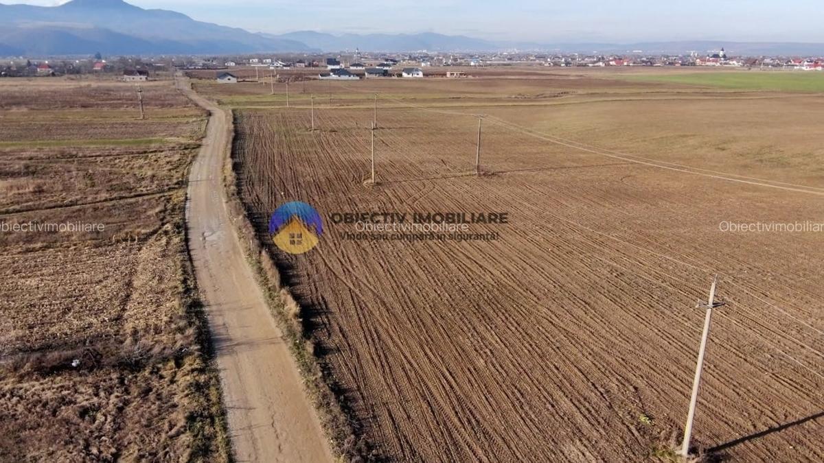 Teren investitie intravilan 3600 mp – Dumbrava Rosie - 3