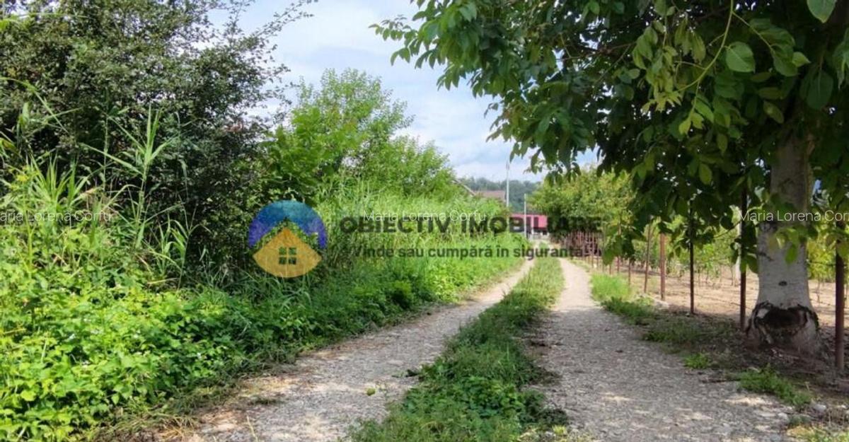 Teren intravilan com. Alexandru cel Bun- Viisoara - 24