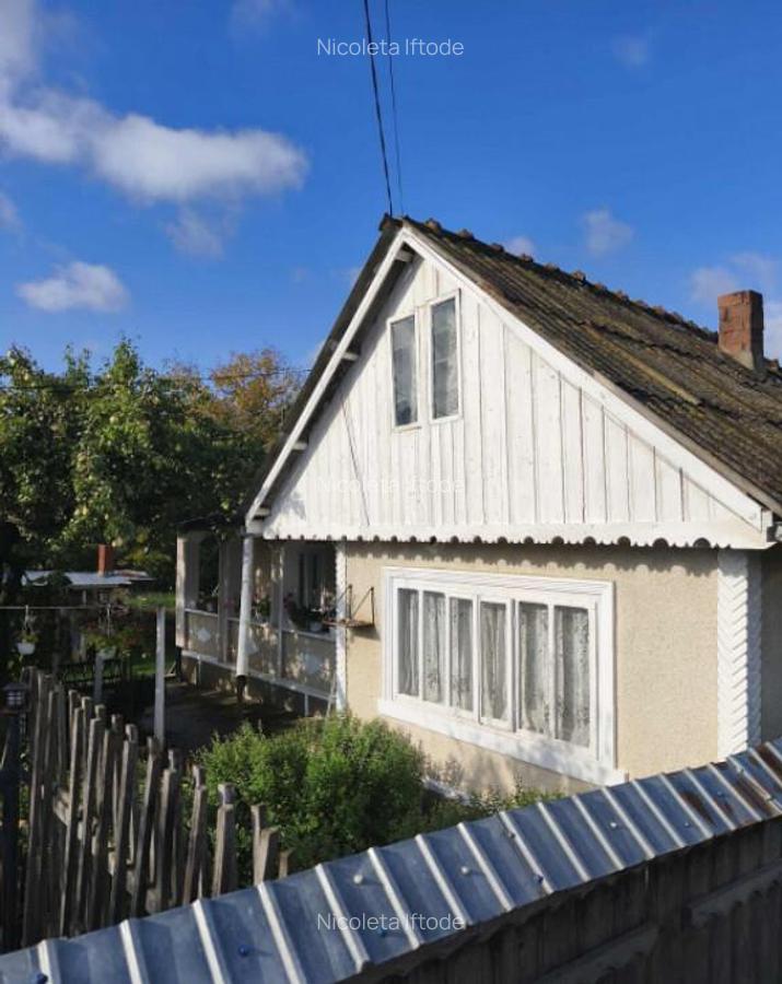 Casa si teren 2000mp Draguseni - 3