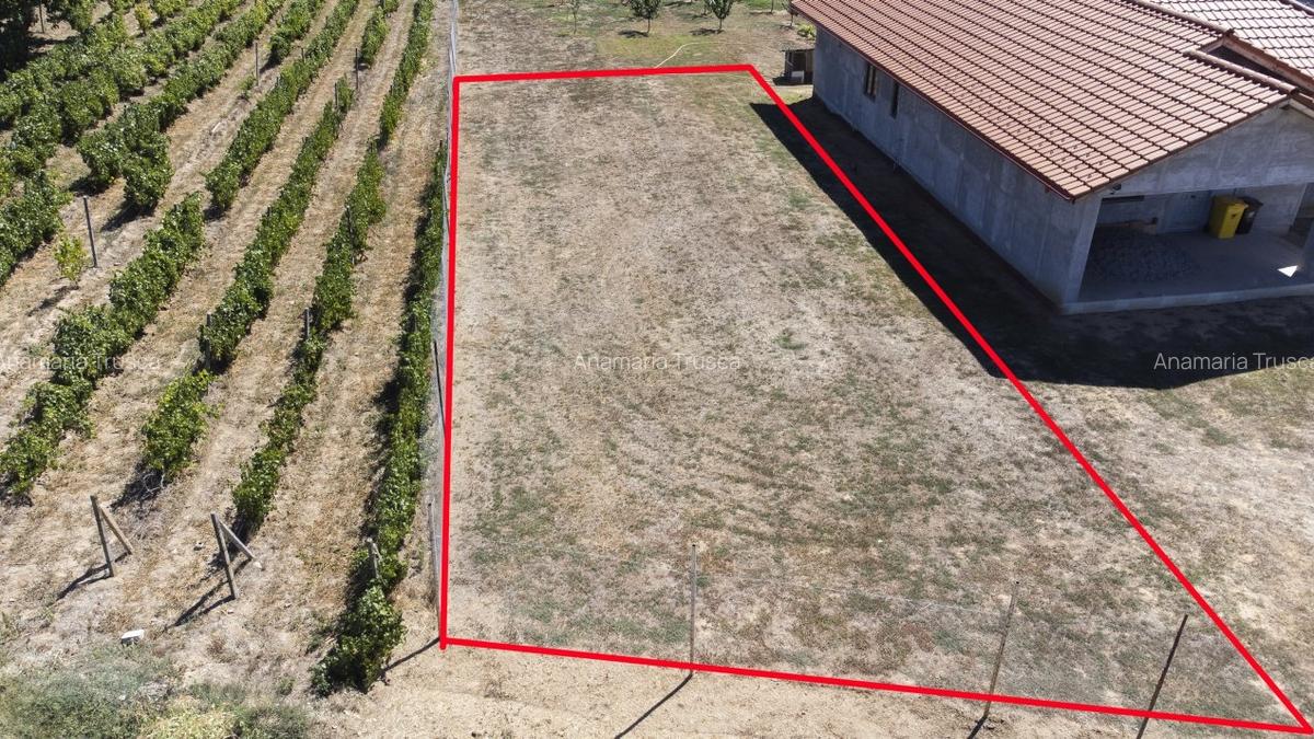 Teren de vanzare intravilan Carcea, 500 mp, toate utilitatile - 11