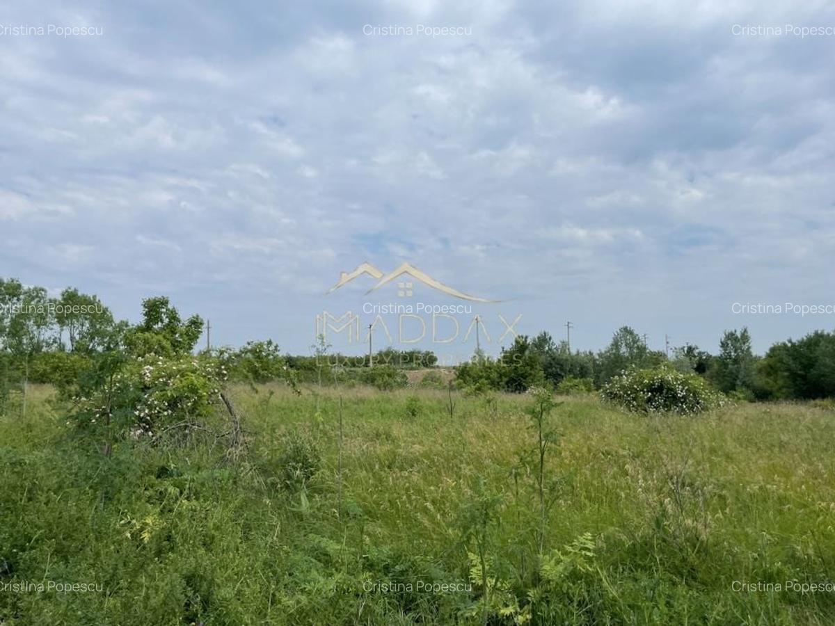 Teren intravilan***1439 mp***Cretesti-Vidra-Ilfov - 11