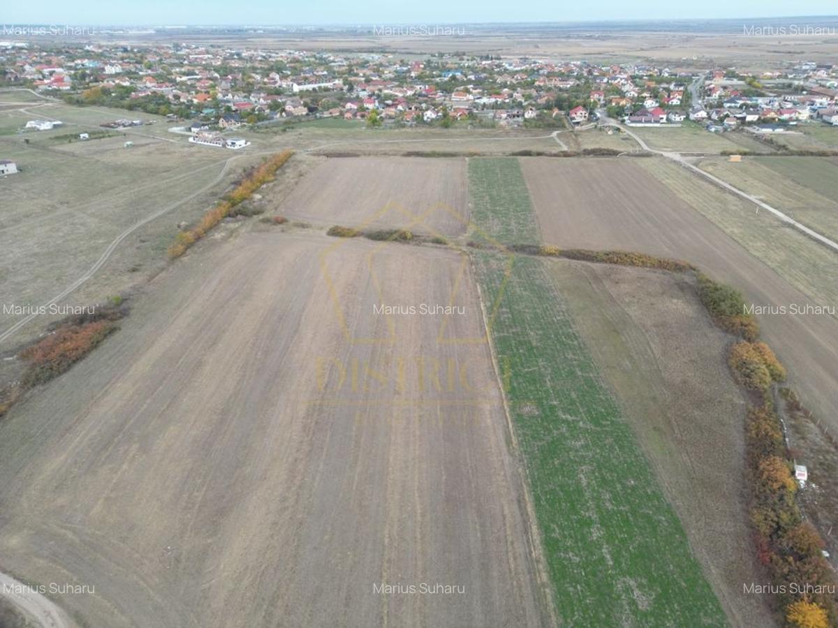 Teren arabil Intravilan 11600mp | LmP | Remetea Mare | COM 0% - 3