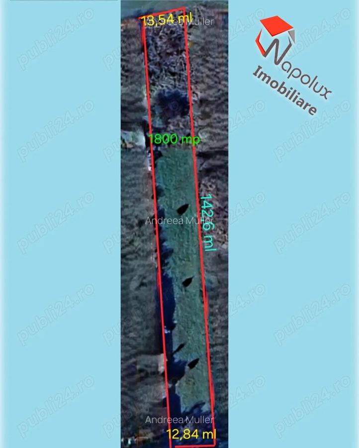 Teren pentru constructii in comuna Ciurila - 3