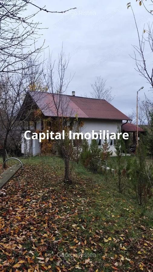 Casa Baicoi 95 mp Sc, 2578 mp teren - 1