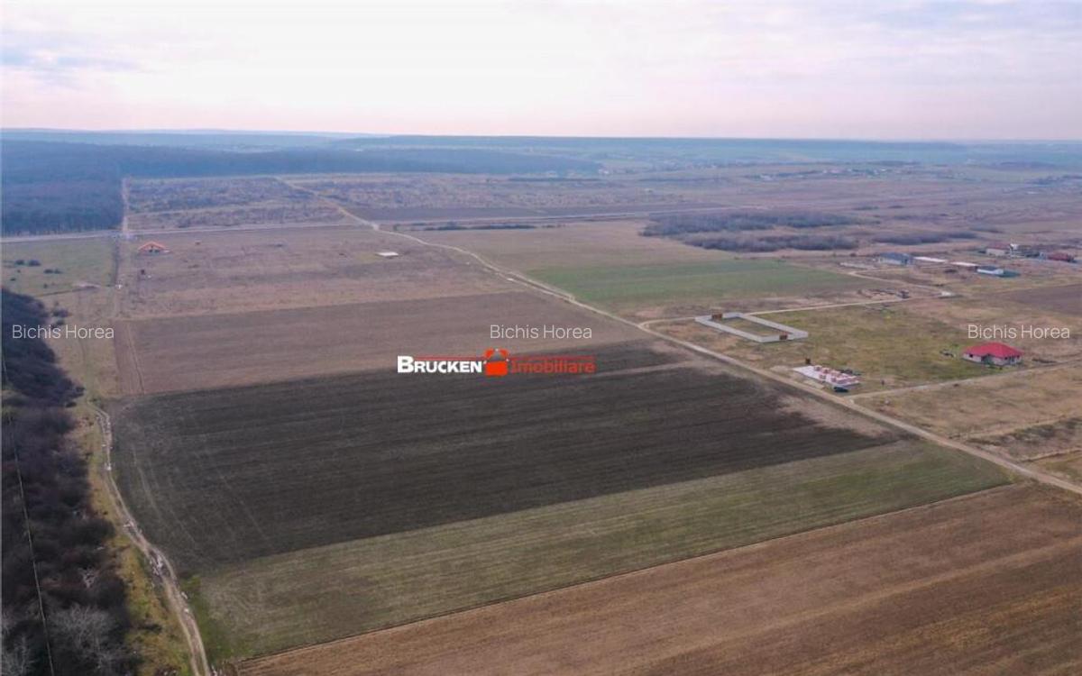5 PARCELE PENTRU CASA | ZONA REZIDENTIALA I DEZVOLTARE | CIH - 6