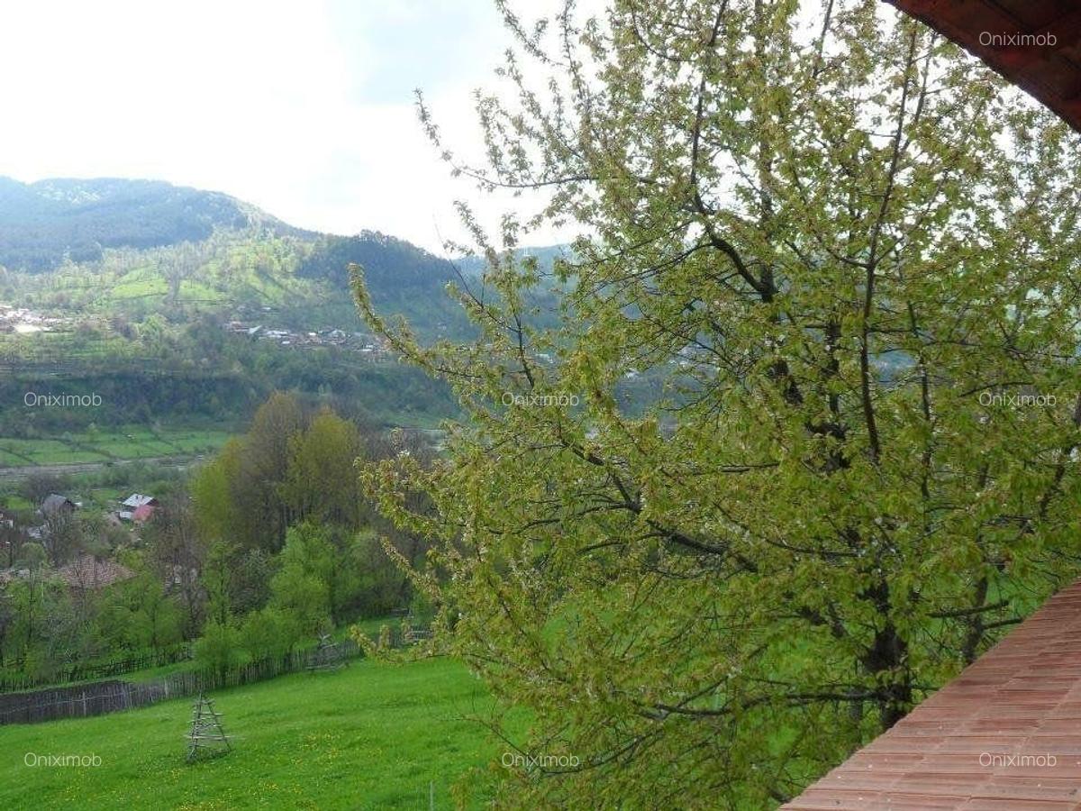 Vila deosebita cu 7 camere si 5 bai, 4290 mp teren, vedere panoramica  Valea Do - 5