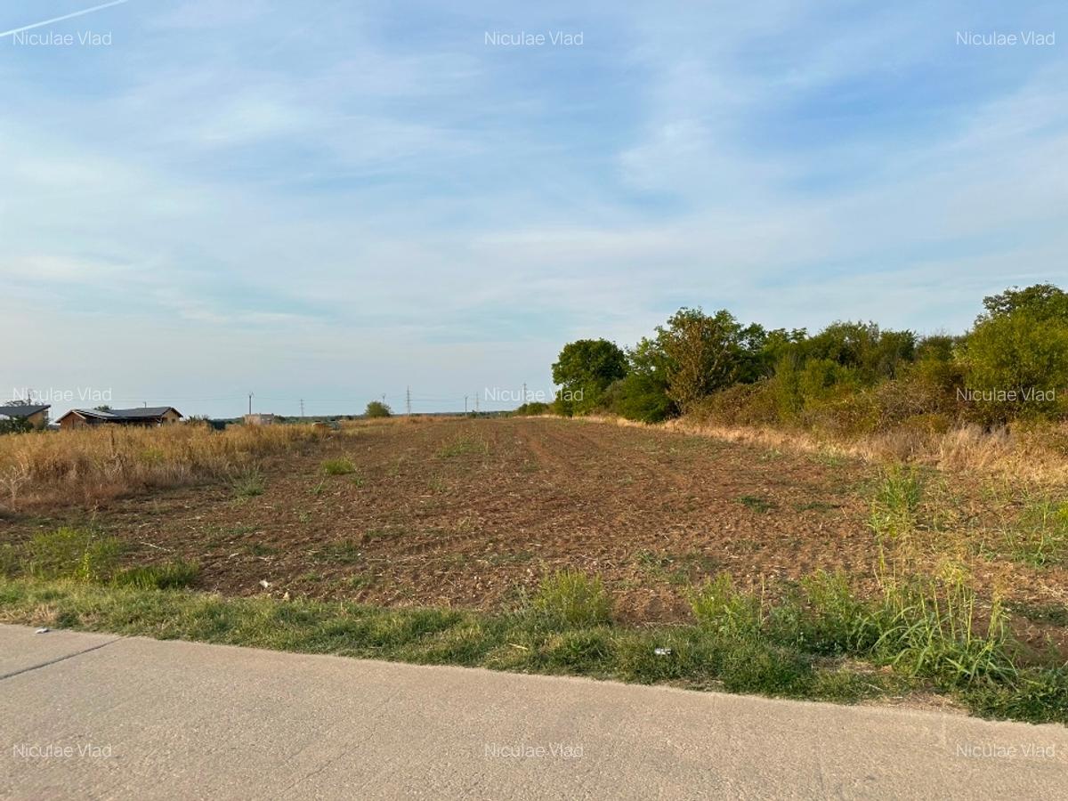Teren Peris Sat Cocioc Intravilan - 3