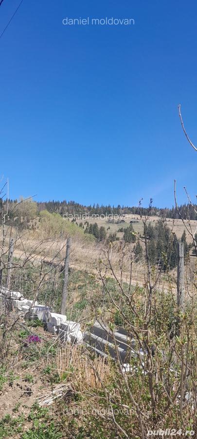 Vand casa ?i teren 3892m - 8