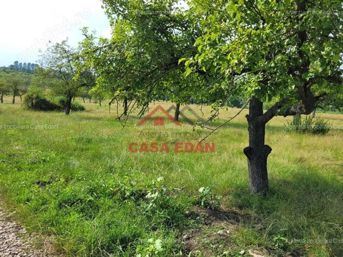 Teren intravilan in Campina, 1490mp--26.820e - 9