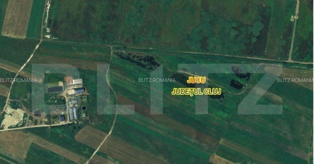 Teren cu lac de vanzare in Jucu! - 2