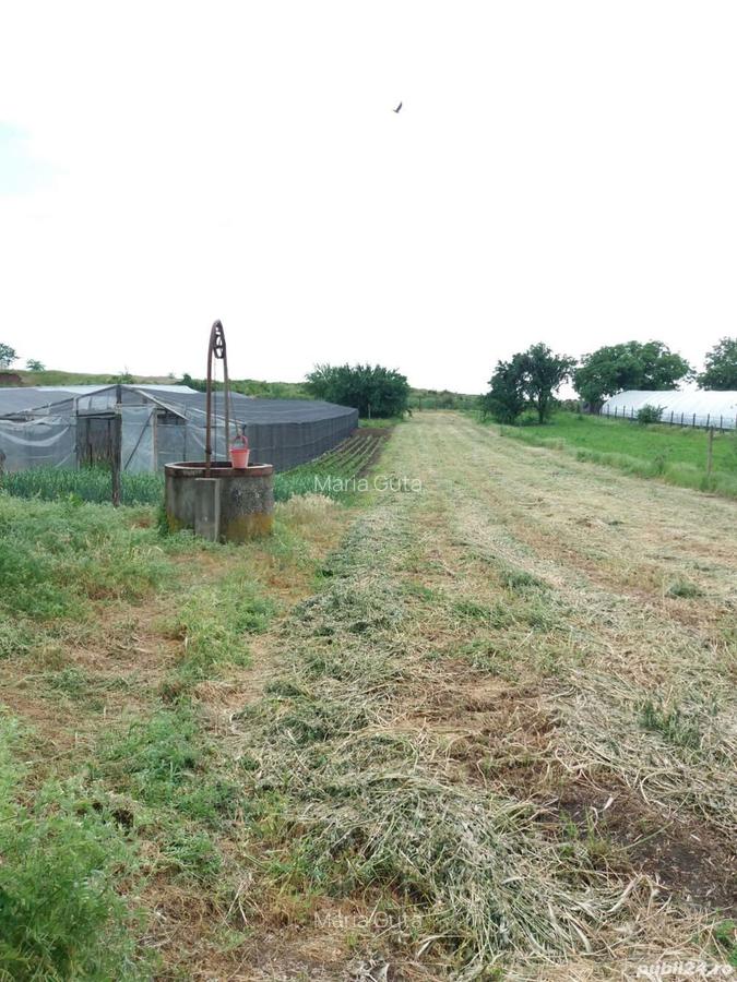 Vand casa! In Poiana Mare,Dolj! - 7