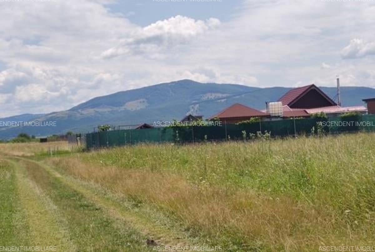 Cu PUZ, Prejmer, Brasov - 1