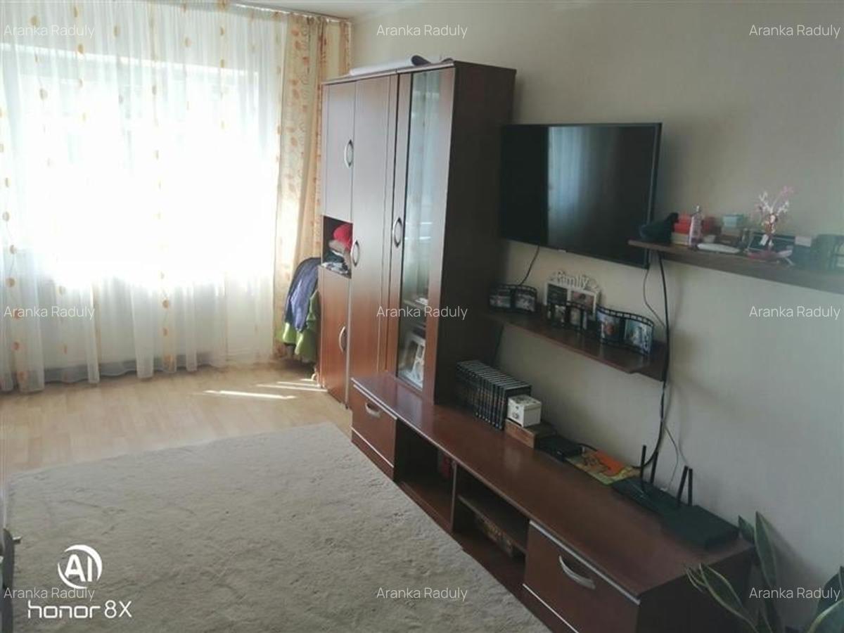Apartament cu 2 camere decomandat, mobilat în Lenin - 2