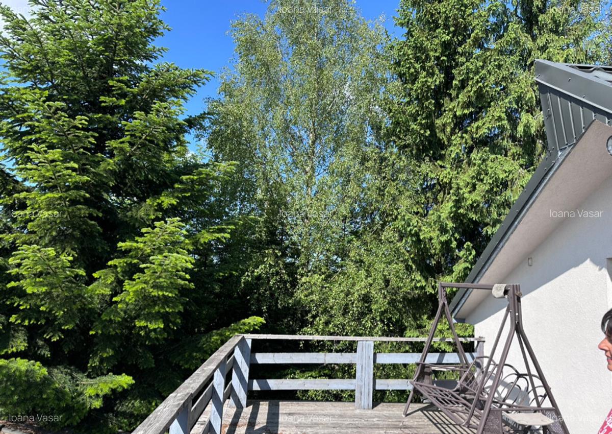 Persoana fizica cabana cu teren la Belis - 4