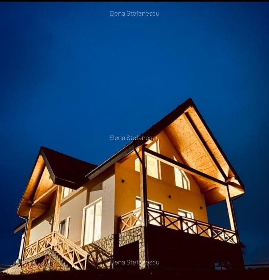 Pestera - Bran - Piatra Craiului Rezervatie - Vila -  finisaje premium -centrala - 13