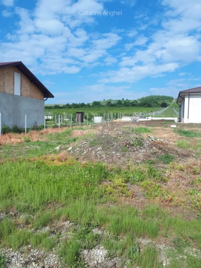 Loturi de teren intravilan, 413 mp, Chitorani, Prahova - 7