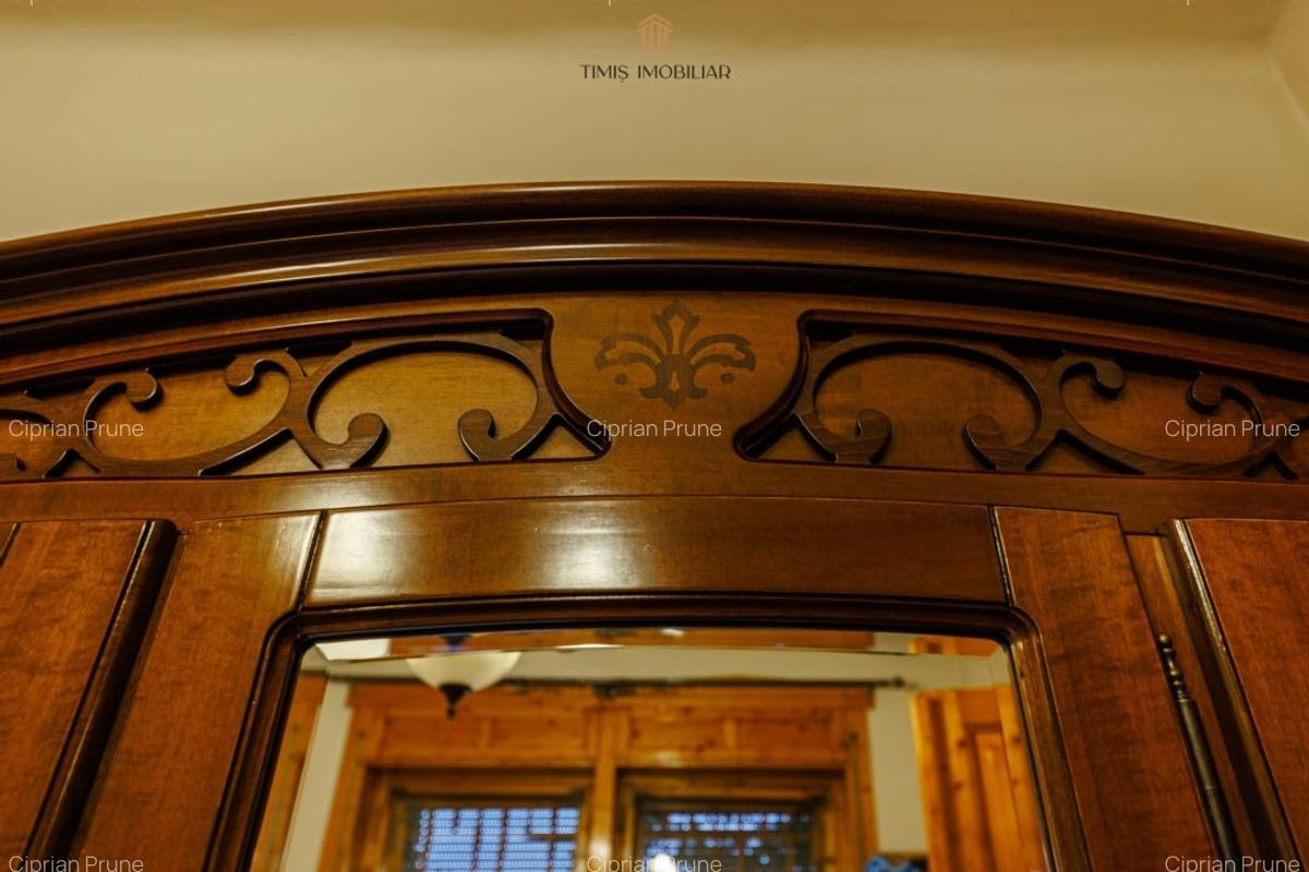 Apartament cu terasa si boxa, in Palatul Adolf Hanecker | Mal Bega - 50