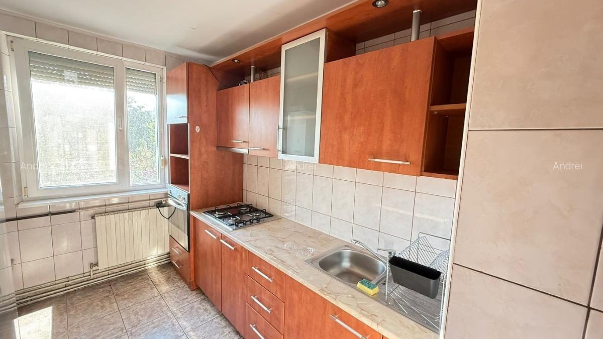 Proprietar, Drumul Taberei, Tricodava, centrala proprie, confort 1, decomandat - 10