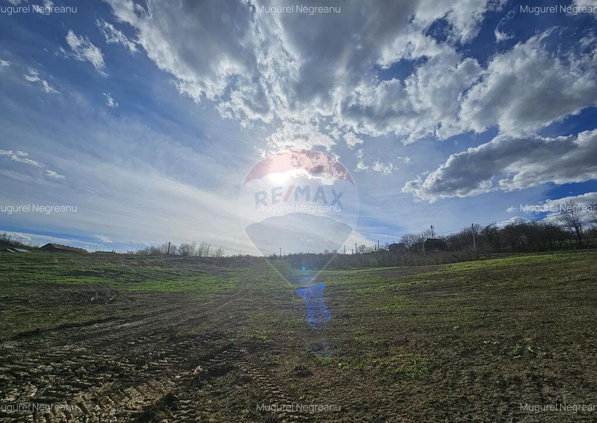 15 parcele de 1000 mp de vanzare in Breaza Prahova- toate... - 8 15 parcele de 1000 mp de vanzare in Breaza Prahova- toate... - 8