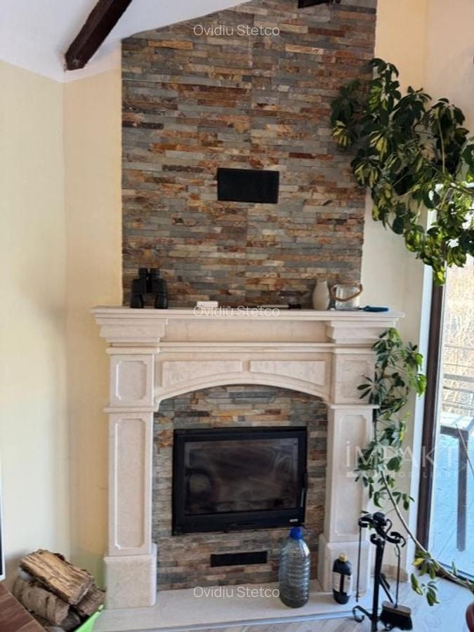 Casa de vacanta pe malul Lacului Tarnita, 650 m2 teren - 10