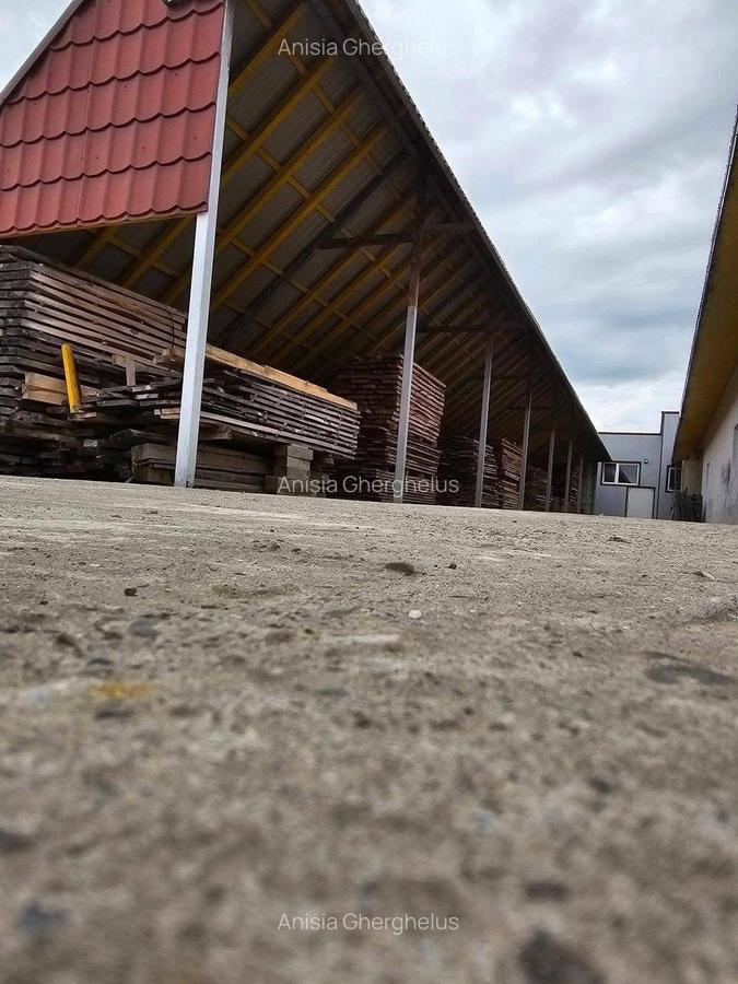 Spațiu industrial + afacere la cheie – complet echipată pentru tâmplărie lemn - 10