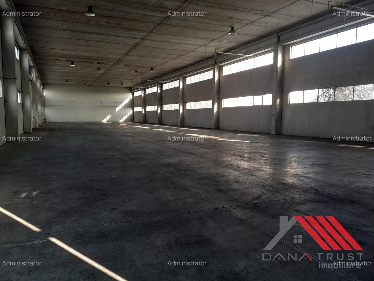 Hala depozitare  - Logistica  C. Lugojului acces TIR - 9