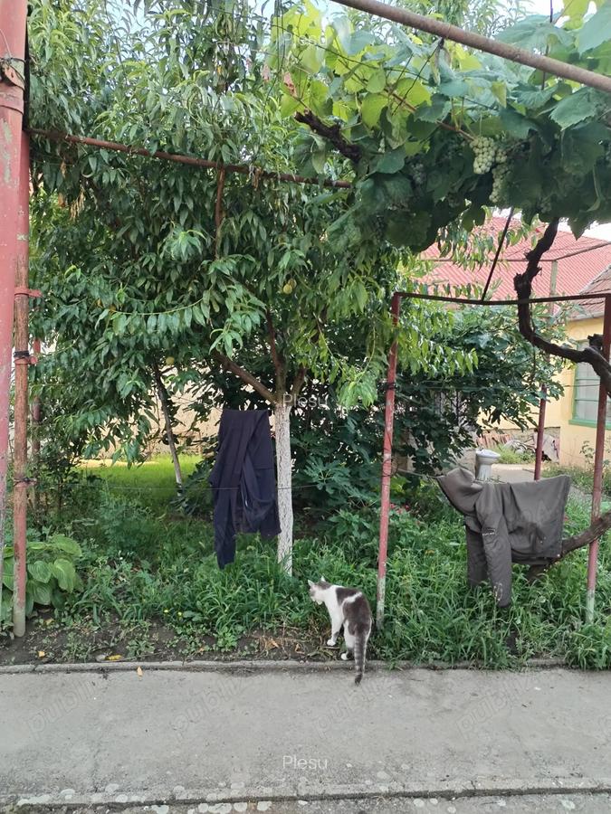 Casa de vinzare in Recas,jud Timis - 5