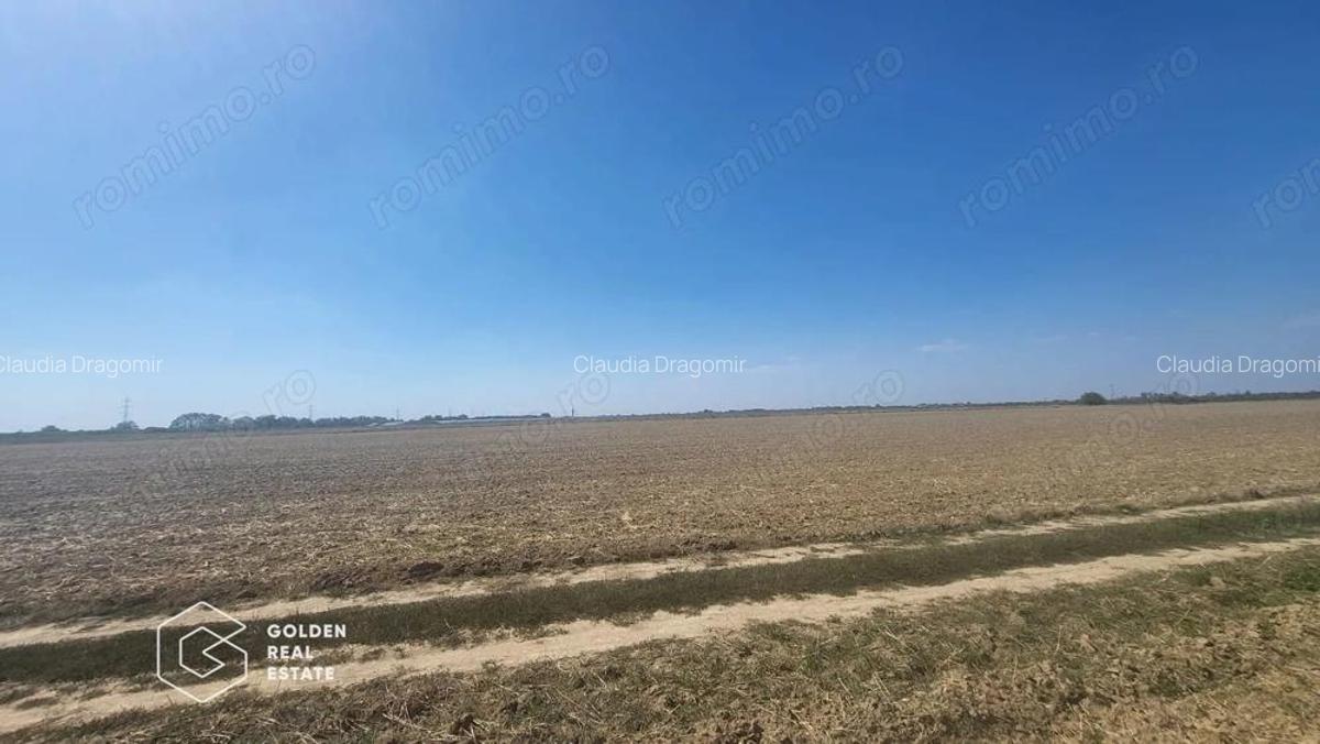 Teren Mosnita Noua, 11600 mp - 2