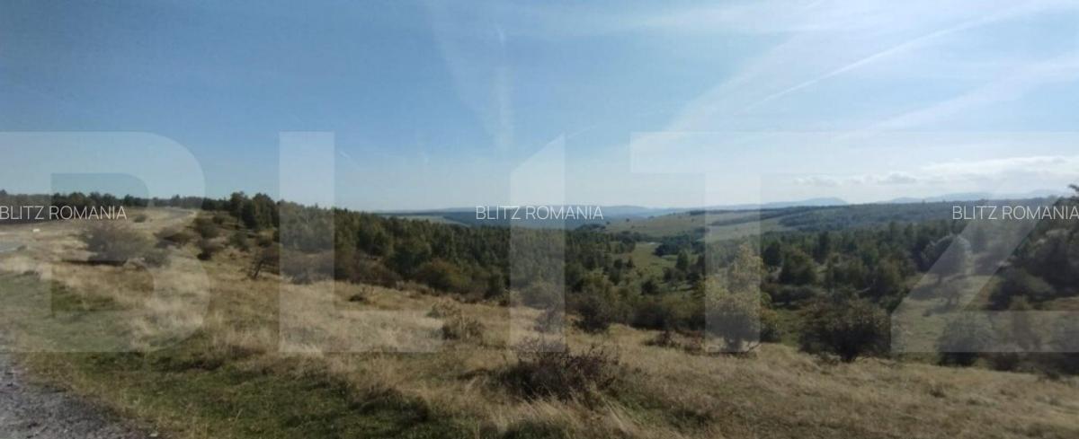 Teren 1.1 hectare, pasune extravilan, asfalt, Salicea - 1