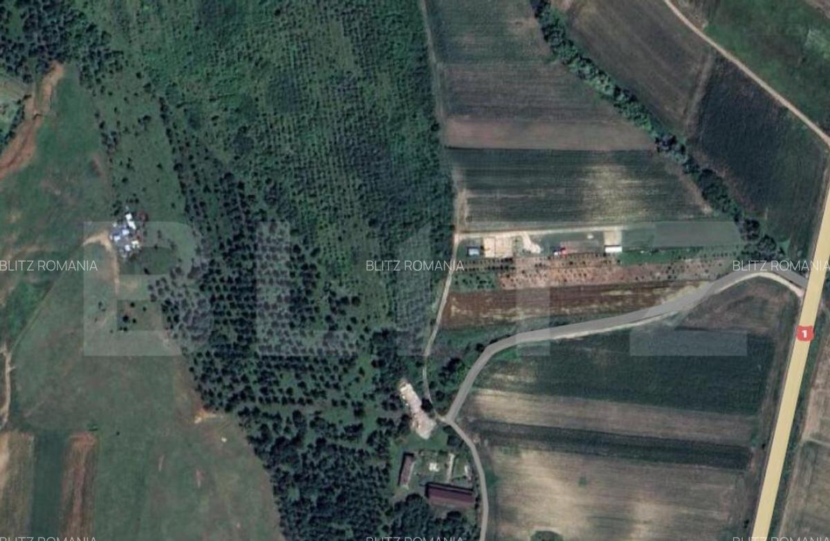 Teren extravilan 5996 mp, zona Valea Sasului - Teius - 1