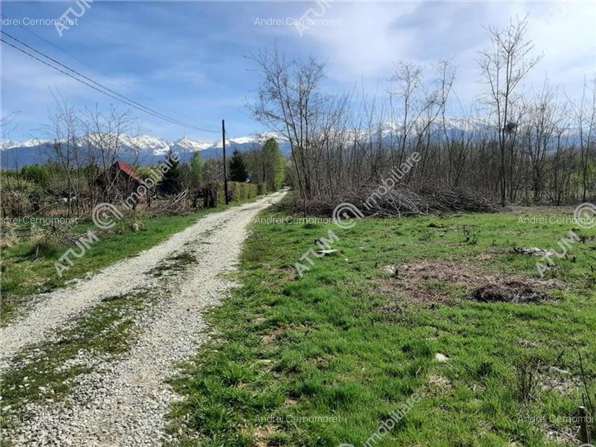 Teren intravilan 2700 mp pe Valea Avrigului localitate Avrig - 2