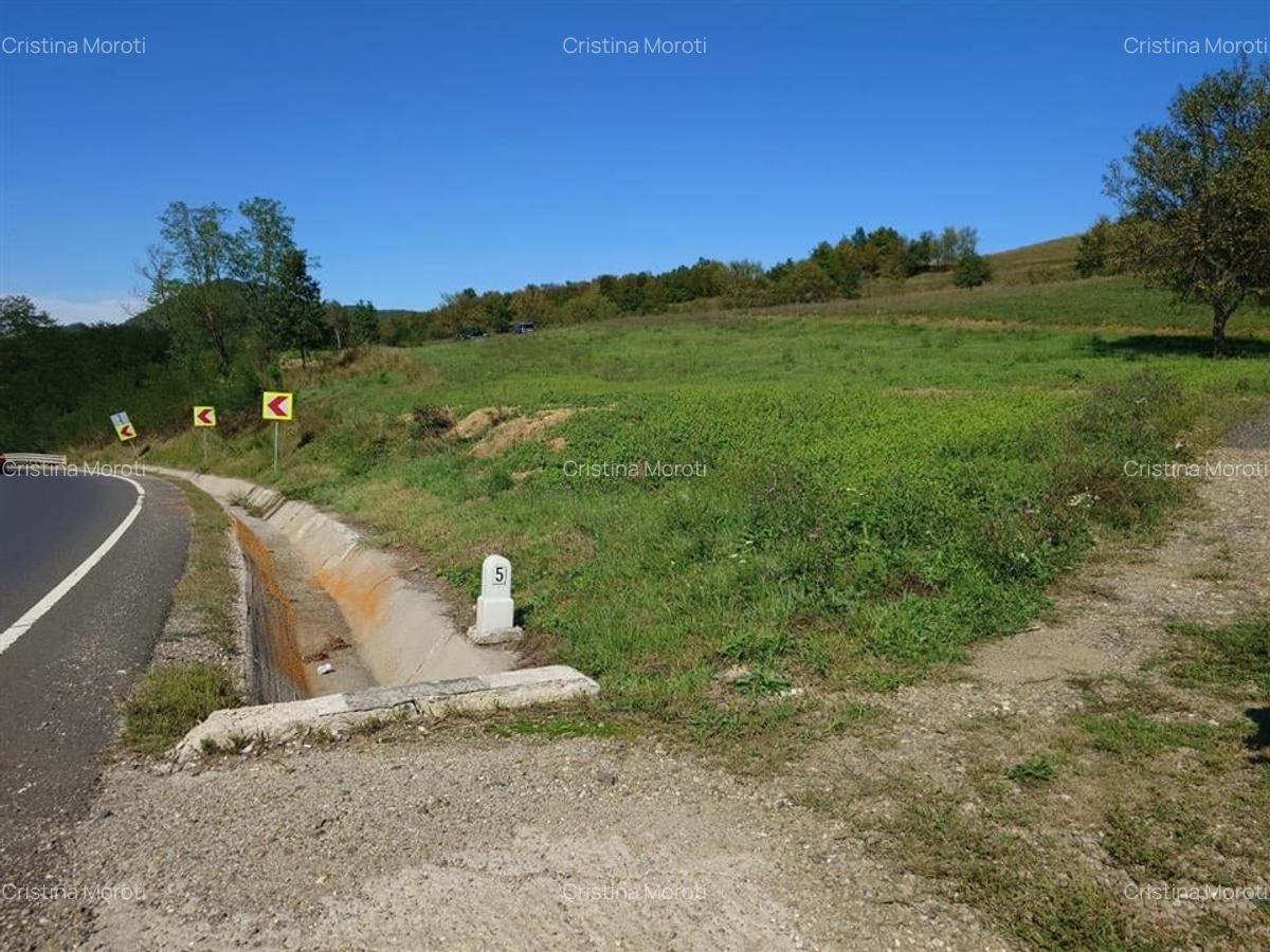 Teren intravilan 8757 mp cu potential turistic si acces direct la E79 - 1