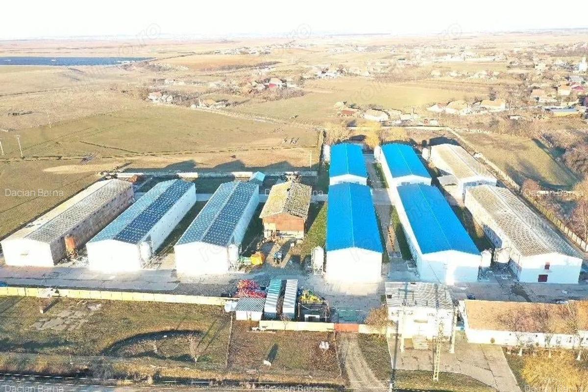 Hale de vanzare + balta de pescuit in Bihor-Nojorid-Les - 9